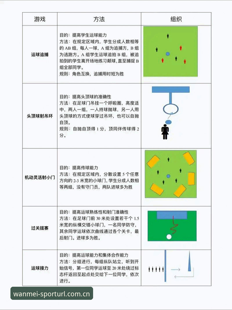完美体育体育娱乐体验全面解析：从入门到精通的实用指南